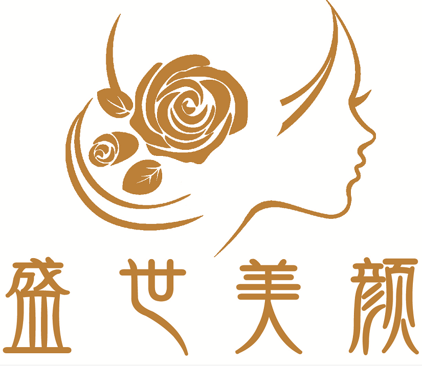 盛世美颜(广州)美业科技有限公司的logo