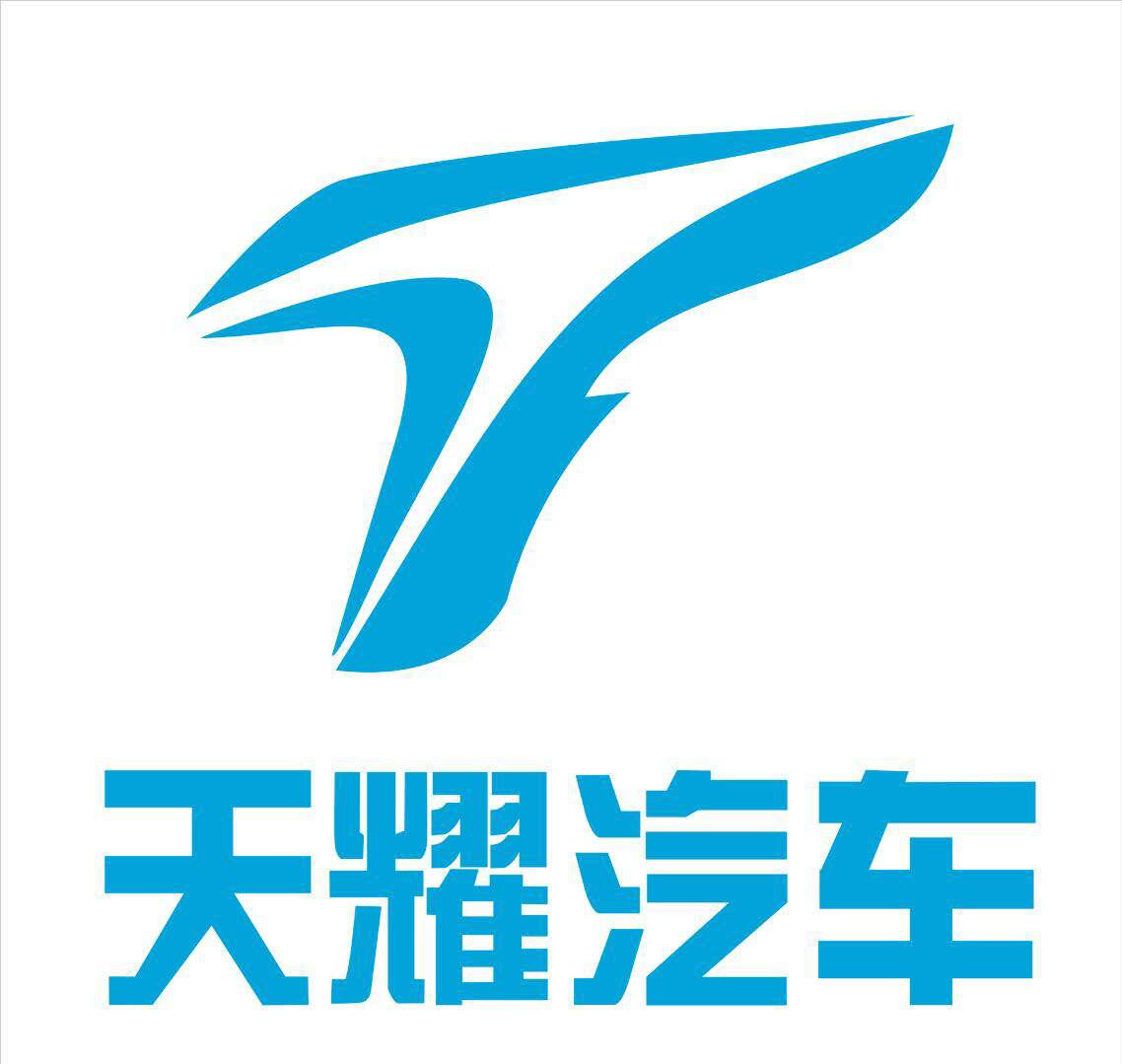 六安市天耀汽车销售有限公司的logo