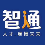 武汉市智通人力资源有限公司的logo