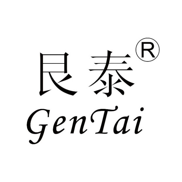 艮泰(广东)科技发展有限公司的logo